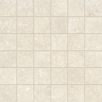 Untamed Wander Warm Mosaic 2 x 2 12 x 12